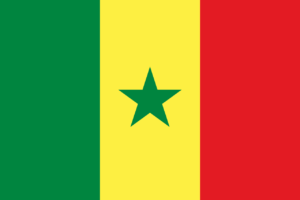Vrijwilligerswerk in Senegal