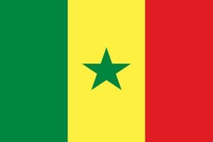 volunteer abroad alliance - Senegal - Warang - Flagge